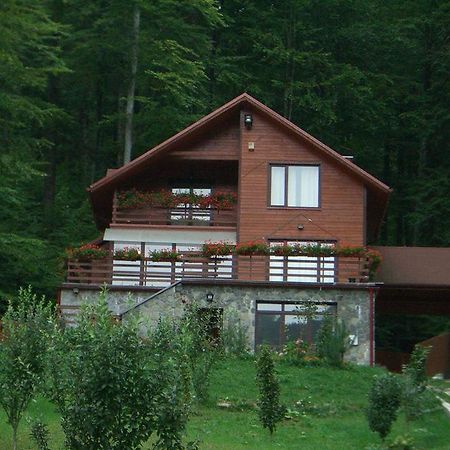 Villa Mara Sinaia Exterior foto