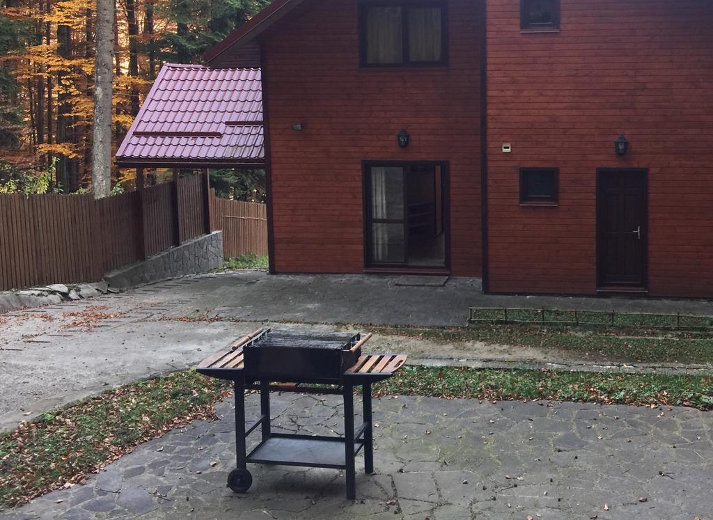 Villa Mara Sinaia Exterior foto